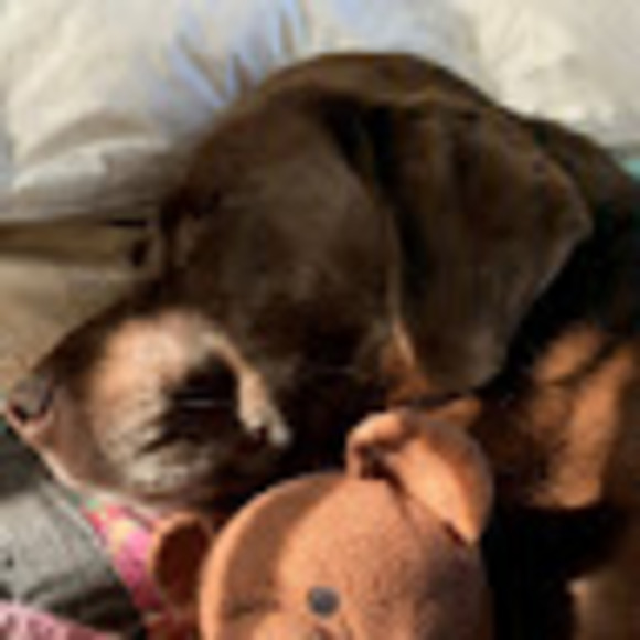 Meet your Posher, Julie - Picture 1 of 1